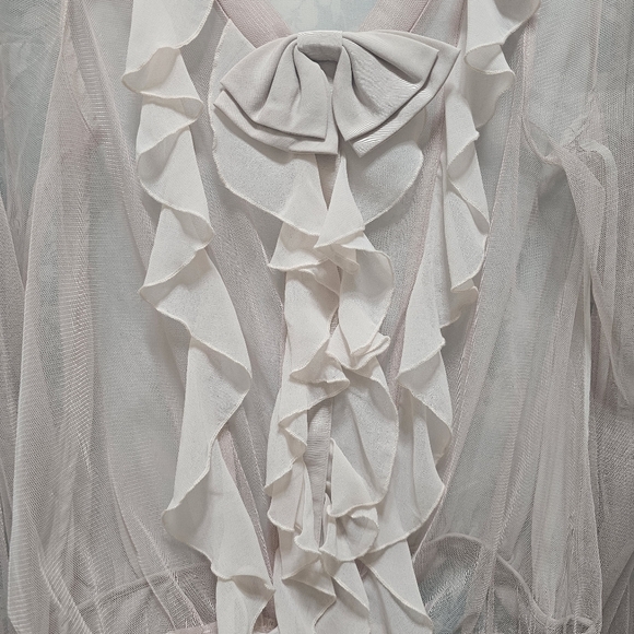 Twelve by twelve Elegant Sheer Ruffle Blouse, pale pink. size M - Picture 4 of 7